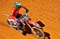 _DSC5950 (1)